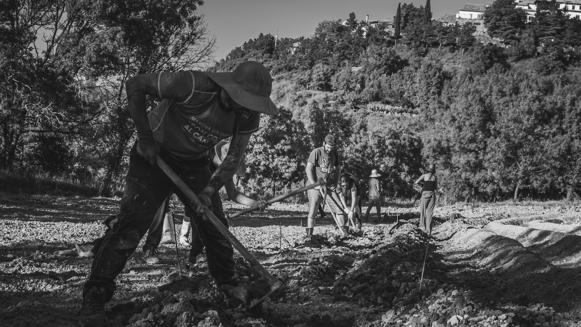 trabajo en el campo